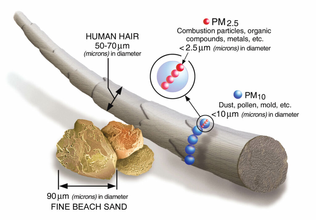 Particulate Matter Explained